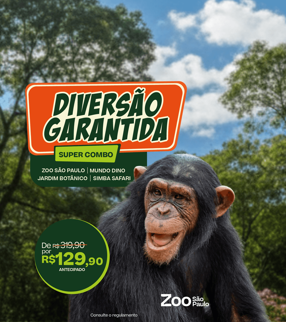 Diversão Garantida Combo Simba